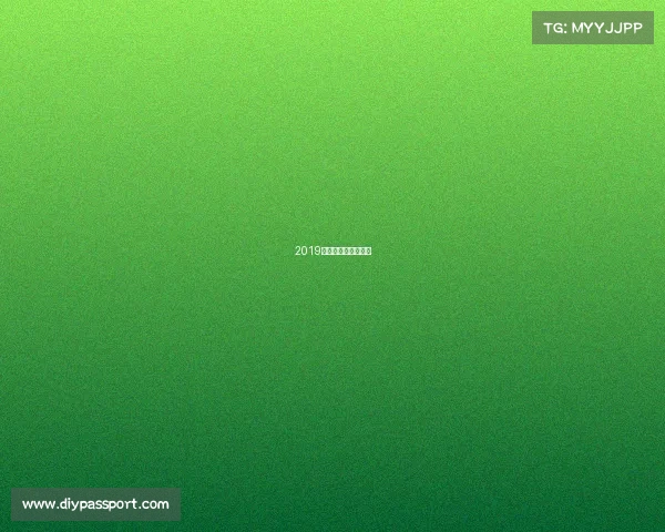 2019年斯巴达勇士赛中国