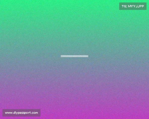 两西好赛事两西好赛事盛大绽放共创体育精彩未来