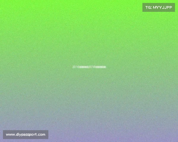 2016业余围棋赛事2016年围棋世界冠军